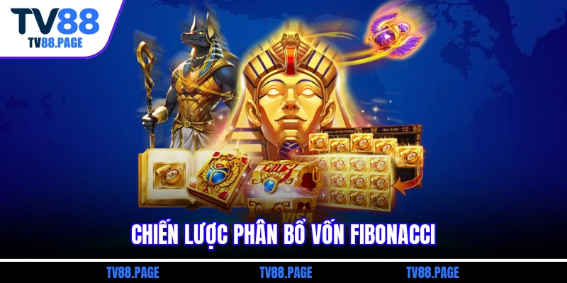 Chiến lược phân bổ vốn Fibonacci