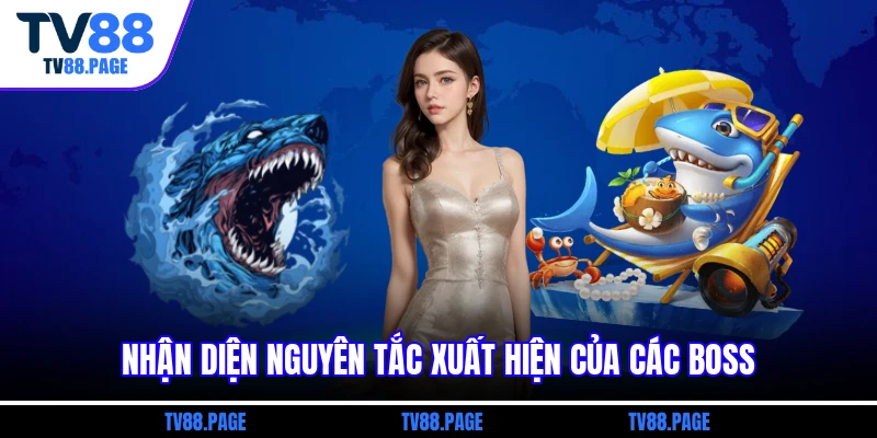 Nhận diện nguyên tắc xuất hiện của các boss