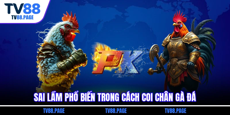 Sai lầm phổ biến trong cách coi chân gà đá